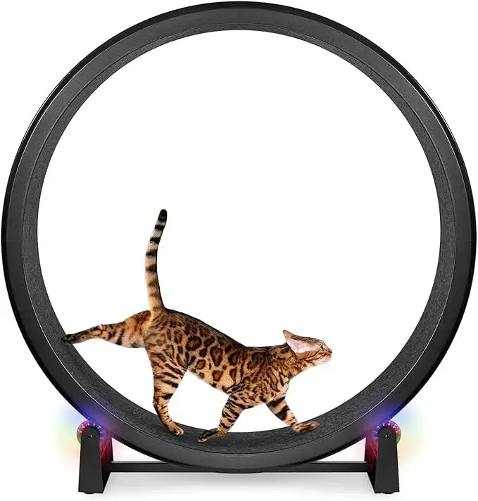 7 One Fast Cat Exercise Wheel - 48 Safe Diameter - US Made - Black with Felt Pads & Inline Wheels