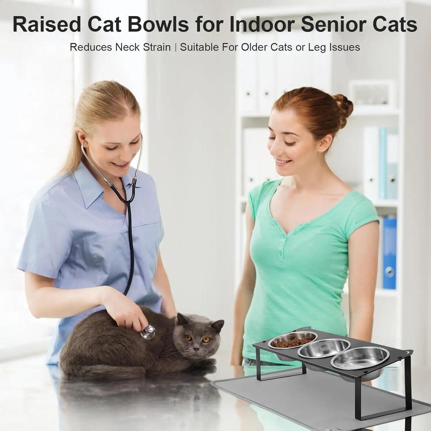 10° Tilted Non-Slip Raised Cat Food and Water Bowls Set with Silicone Mat for Indoor Pets