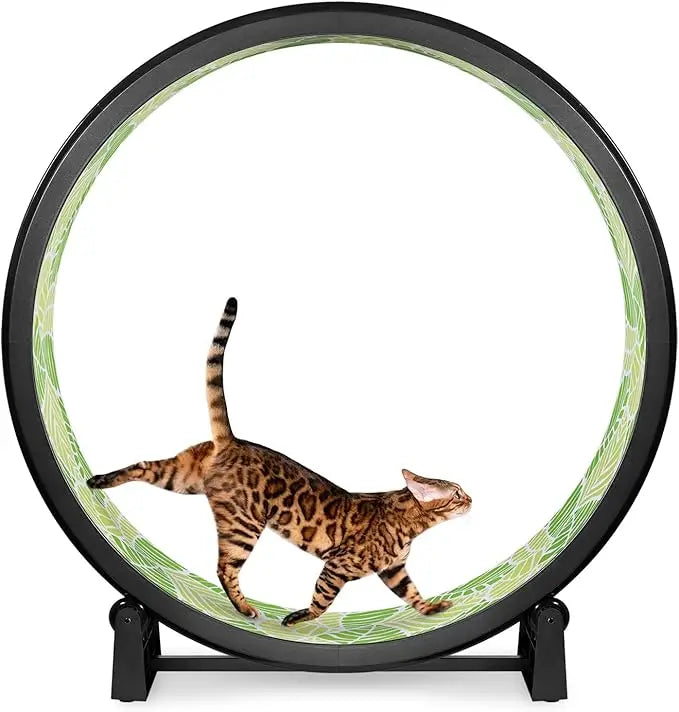 7 One Fast Cat Exercise Wheel - 48 Safe Diameter - US Made - Black with Felt Pads & Inline Wheels