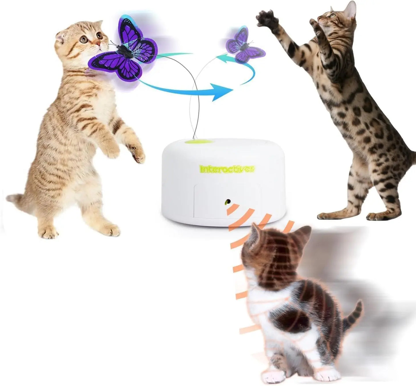 Interactive Cat Wand Toy with Shiny Butterfly - Fun Teaser for Playful Kittens