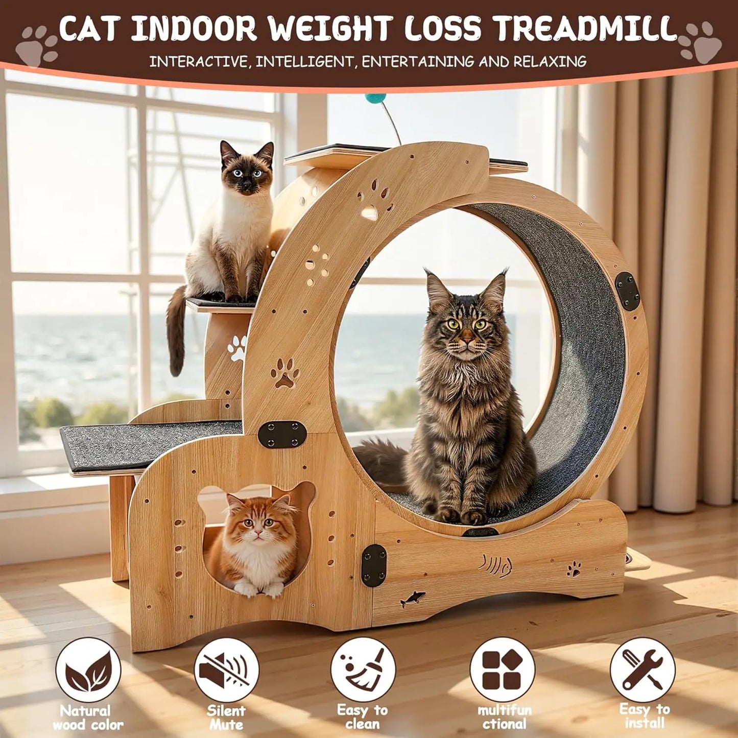 55-inch cat Wheel, 6-in-1 cat Wheels for Indoor Cats, Scratching Board, Detachable mat, Multi-Functional Indoor Pet /Training