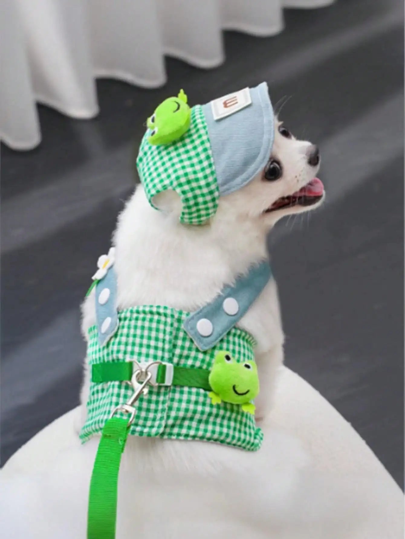 1pc Breathable Lightweight Skid Proof Quick Drying Cute Frog Pattern Solid Color Pet Harness And Leash Suitable For Cats And Dog