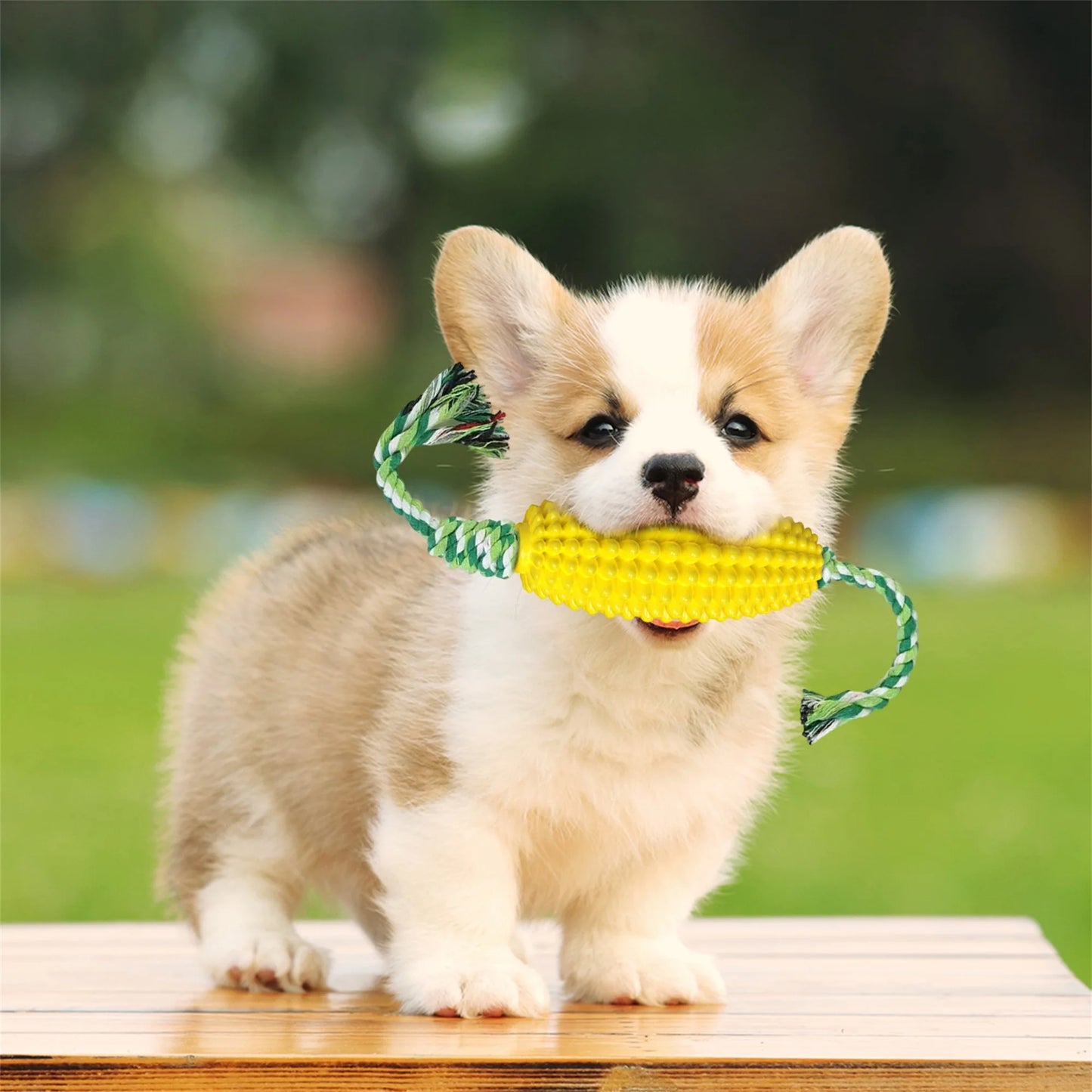 Interactive Dog Toy Set with Durable Chew Rope Toys and Cute Corn-shaped Teething Toy for Puppies - Pet Chew Toys for Hours of