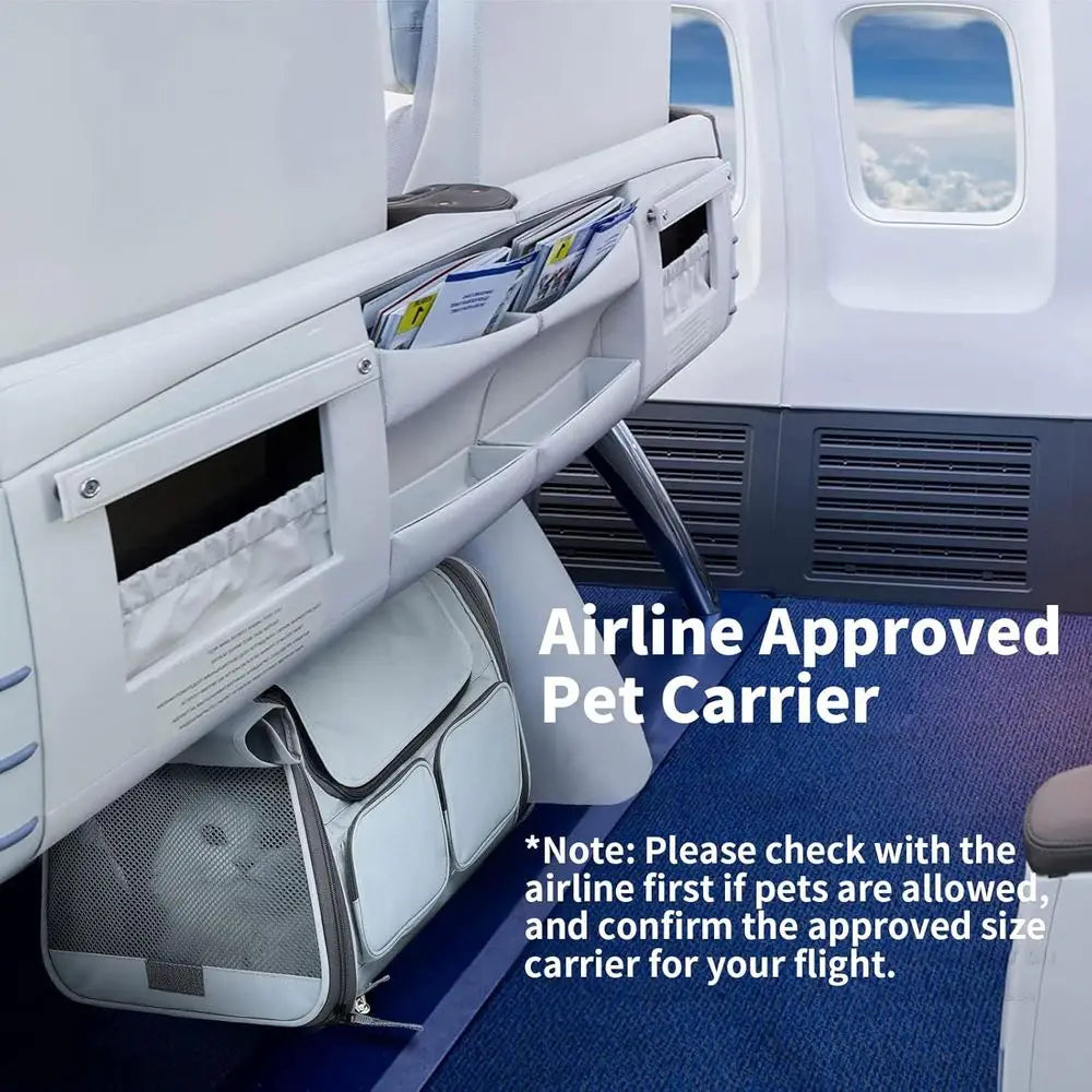Cat Carrier, Soft-Sided Small Dog Carrier, Large Cat Travel Bag with 4 Mesh Windows, Under 15 lb Airline Approved Pet Carrier wi