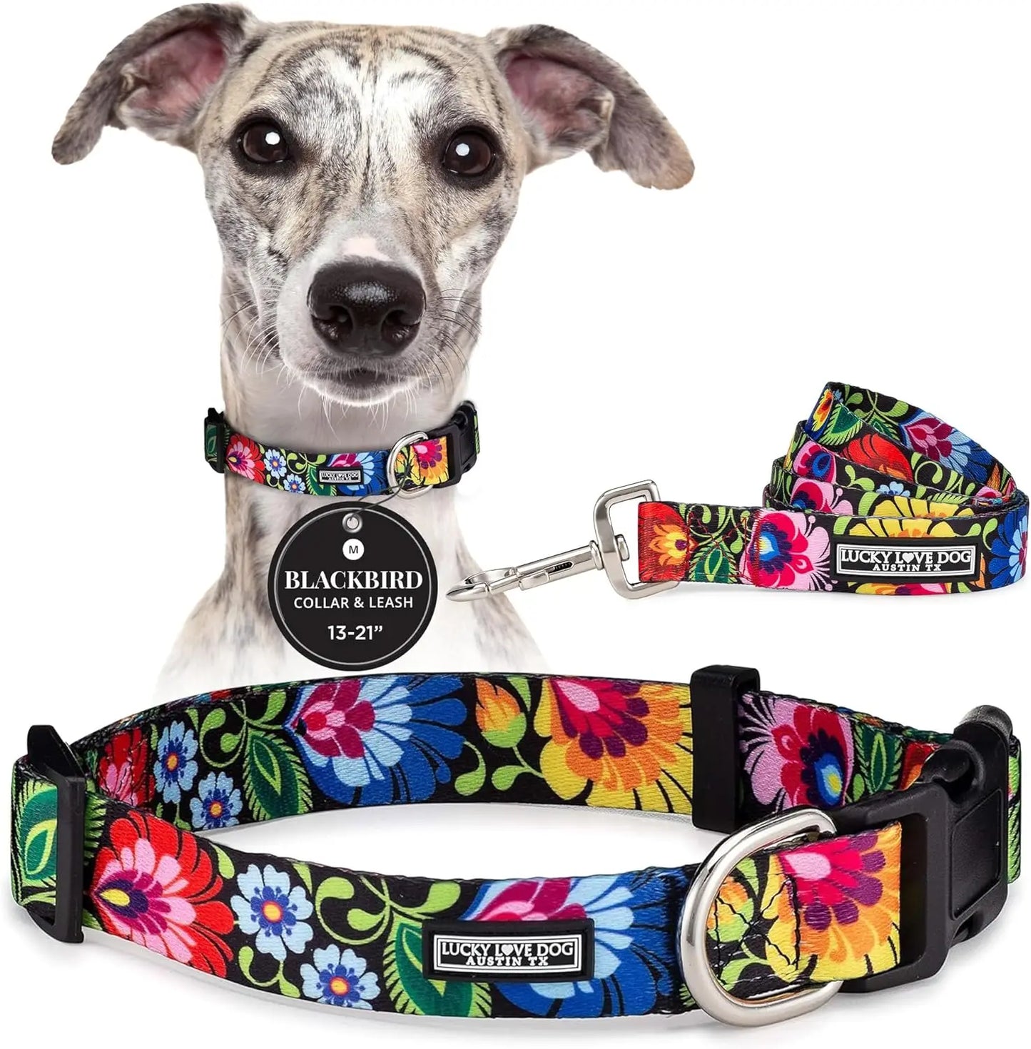 Easy Click Dog Collar & Leash Set, Durable Comfort for Medium Male/Female Pets, Secure Fit - Blackbird Combo
