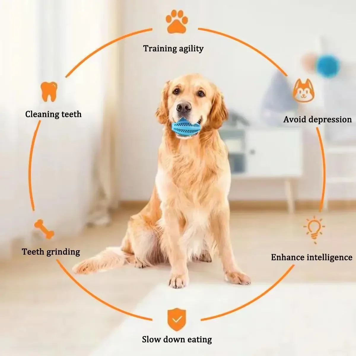 Pet Dog Chew Toys Teeth Cleaning Snack Ball Pet Dog Toy Ball Natural Rubber Super Tough Interactive Bouncy Pet Supplies Cat toys