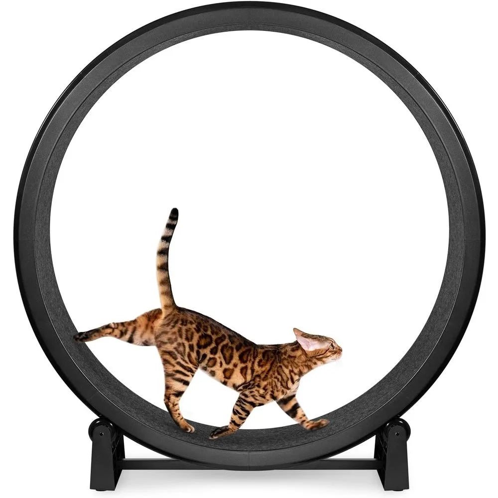 7 One Fast Cat Exercise Wheel - 48 Safe Diameter - US Made - Black with Felt Pads & Inline Wheels