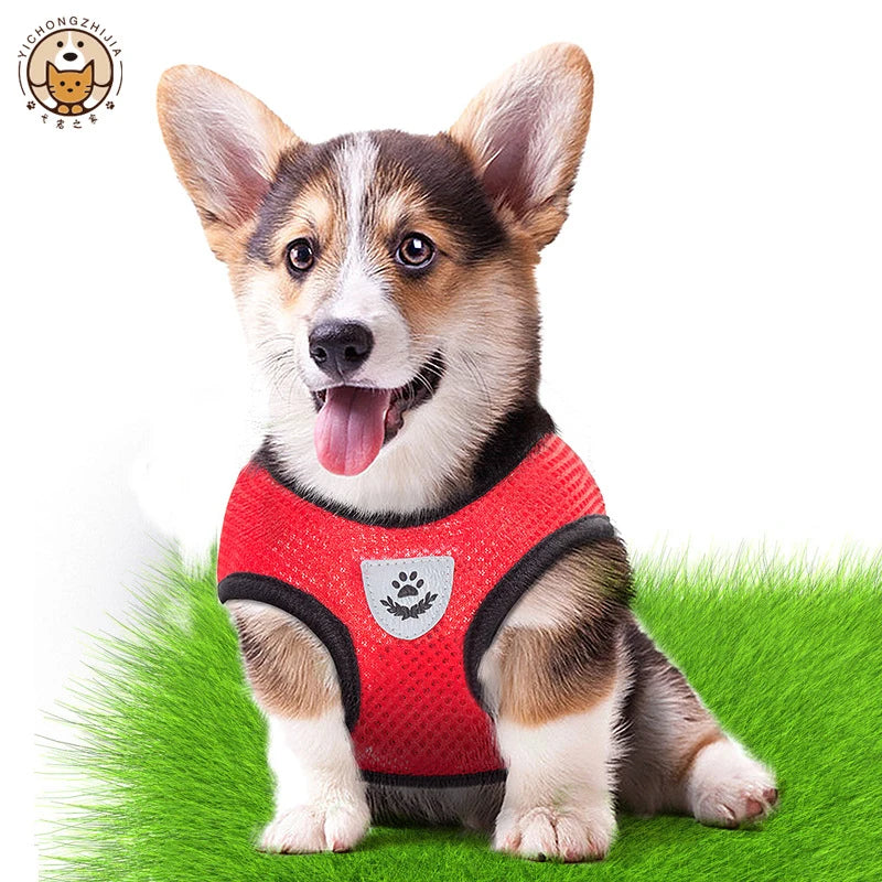 Dog Vest Walking Leash For Puppy Dog Cat Collar Polyester Adjustable Mesh Dog For Small Medium Pet Accessories