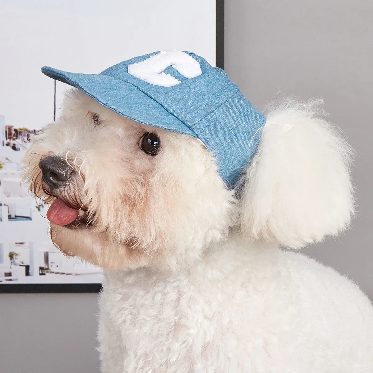 Dog Hat Dog Sun Hat Summer Pet Baseball Cap Adjustable Breathable Design UV Protection Outdoor All Season