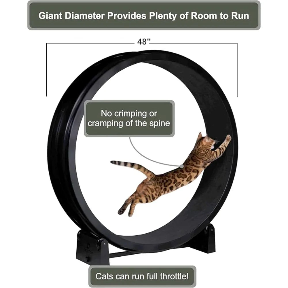 7 One Fast Cat Exercise Wheel - 48 Safe Diameter - US Made - Black with Felt Pads & Inline Wheels