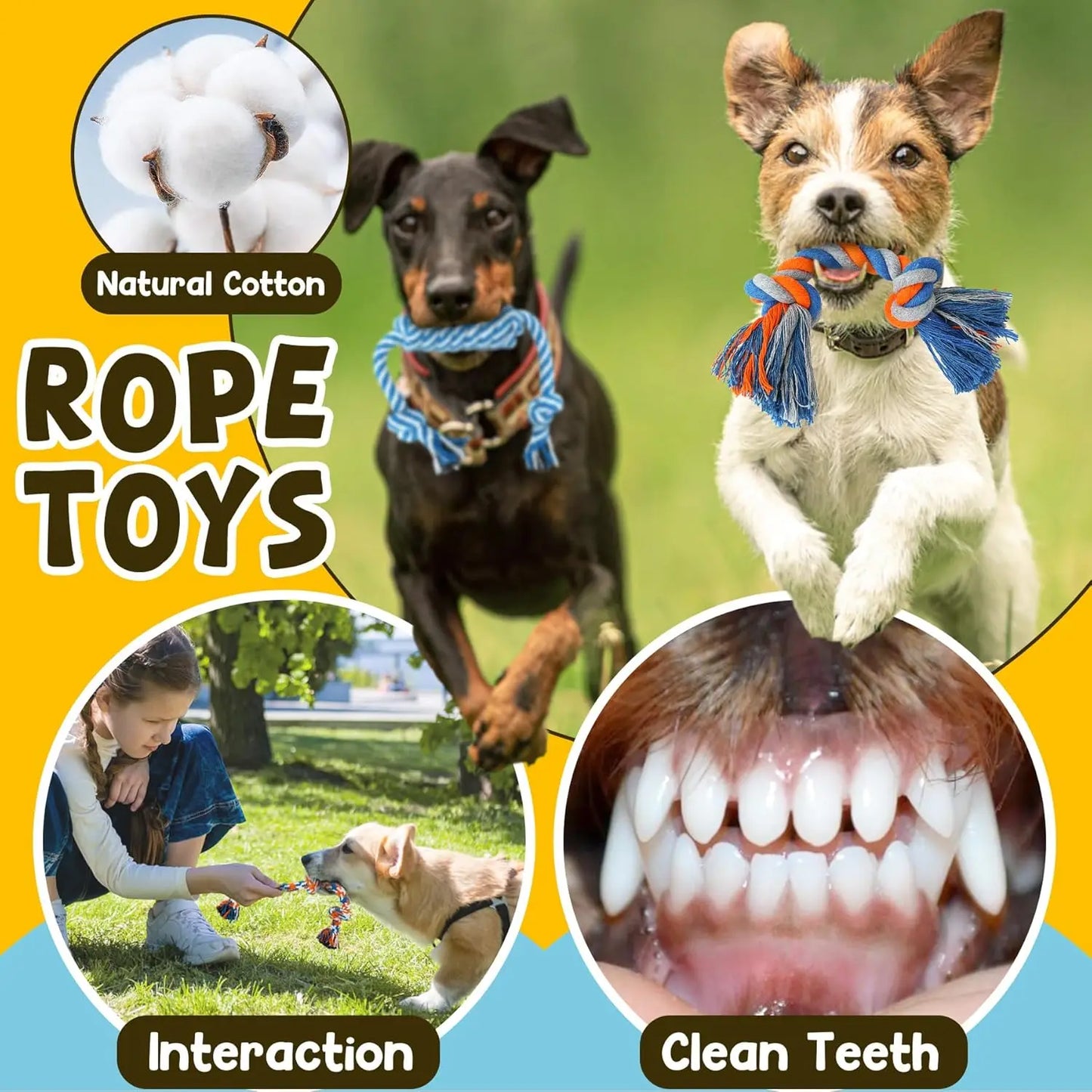 9 Pack Luxury Puppy Toys for Teething Small Dogs, Squeaky Chew Toys with Ball and Rope