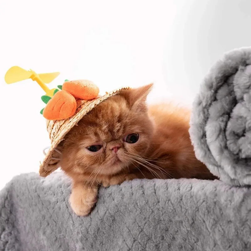 Warm Soft Fuzzy Blankets for Puppy Small Medium Dogs Fleece Kitten Cats Plush Throws for Bed Couch Sofa Blanket Suit For Winter