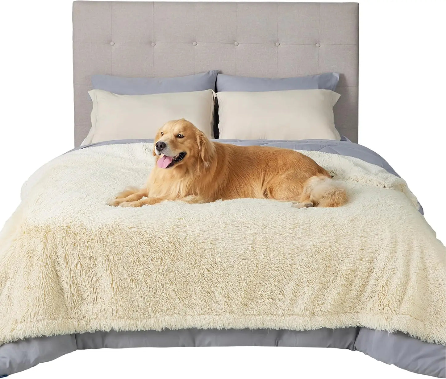 Waterproof Pet Blanket for Large Dogs and Cats, Reversible Faux Fur Furniture Protector, Washable 60x80 Cream