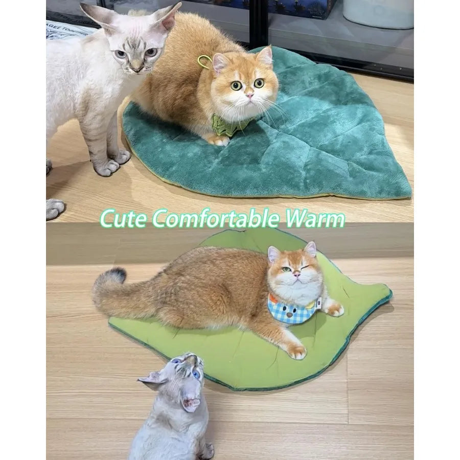 Leaf Shaped Self-Warming Cat Bed 26x20 Cotton Soft Warm Pet Pad Blanket for Indoor Use on Couch Sofa or Floors Ideal Warm Mattr