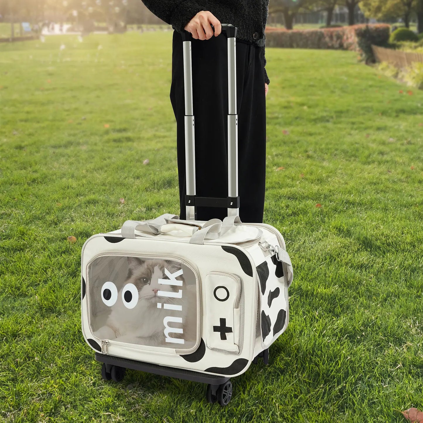 Pets Go Out with Portable Trolley Cases Suitcases for carrying cats up to 22.05 lbs small dogs up to 16.53 lbs