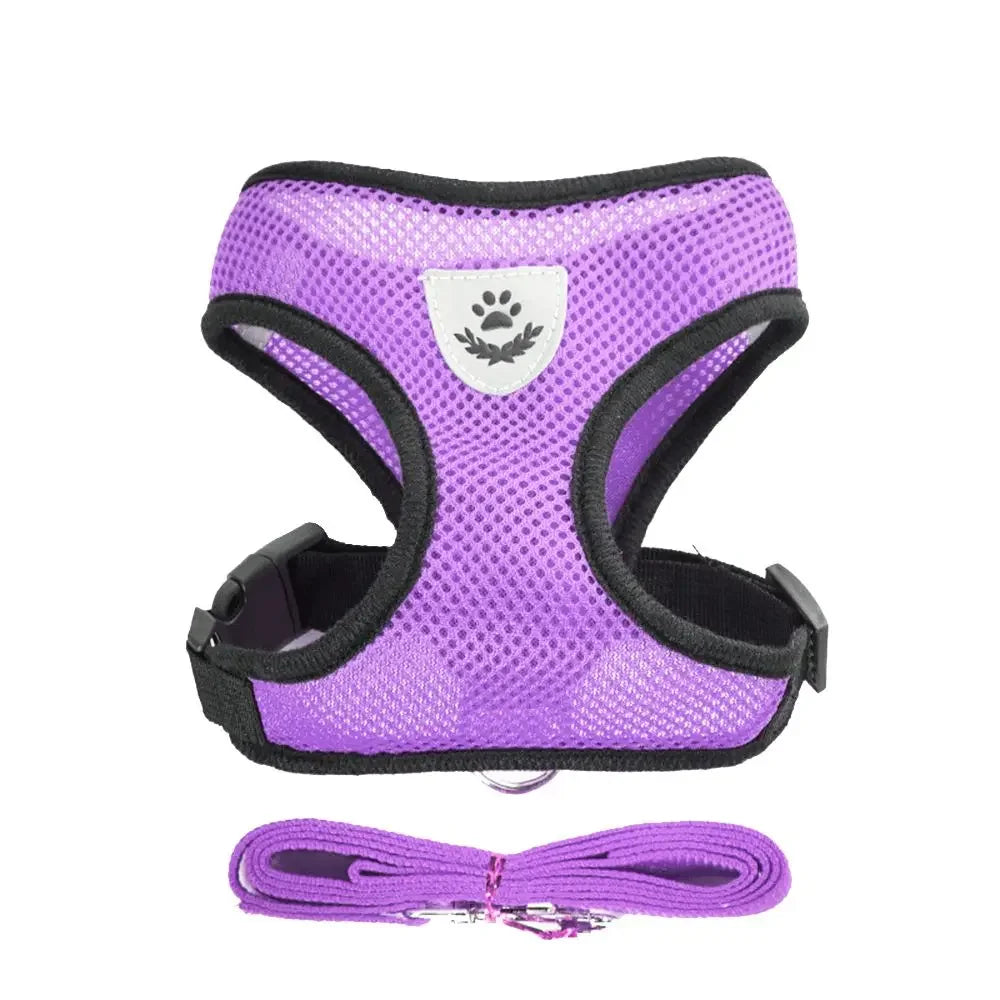 Dog Vest Walking Leash For Puppy Dog Cat Collar Polyester Adjustable Mesh Dog For Small Medium Pet Accessories