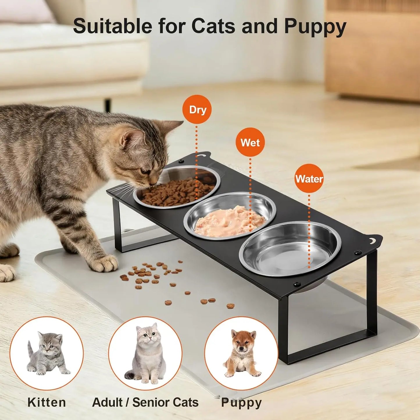 10° Tilted Non-Slip Raised Cat Food and Water Bowls Set with Silicone Mat for Indoor Pets