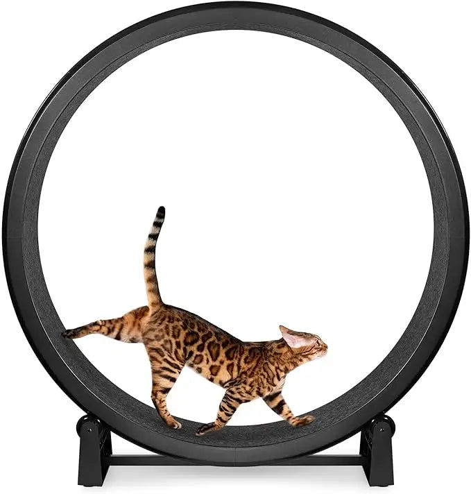 7 One Fast Cat Exercise Wheel - 48 Safe Diameter - US Made - Black with Felt Pads & Inline Wheels