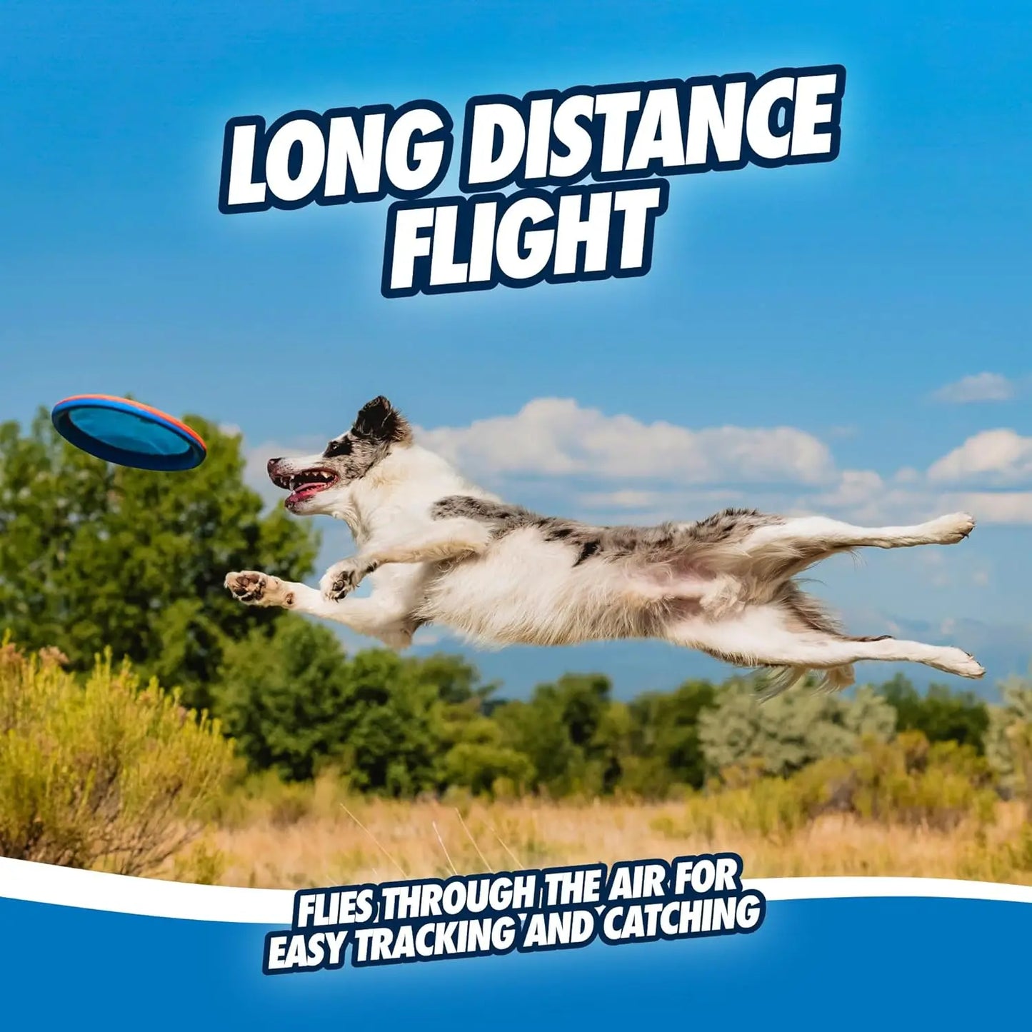 Durable Floating Dog Disc Toy for Medium Large Dogs, Soft Rubber Edges, 9.75 Inch Size