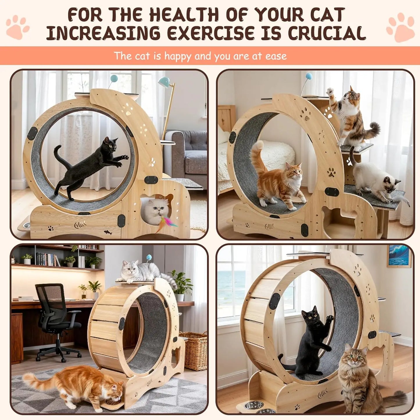 55-inch cat Wheel, 6-in-1 cat Wheels for Indoor Cats, Scratching Board, Detachable mat, Multi-Functional Indoor Pet /Training