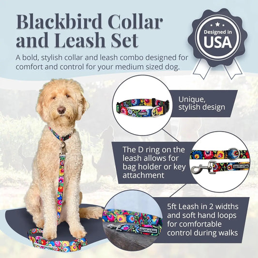 Easy Click Dog Collar & Leash Set, Durable Comfort for Medium Male/Female Pets, Secure Fit - Blackbird Combo